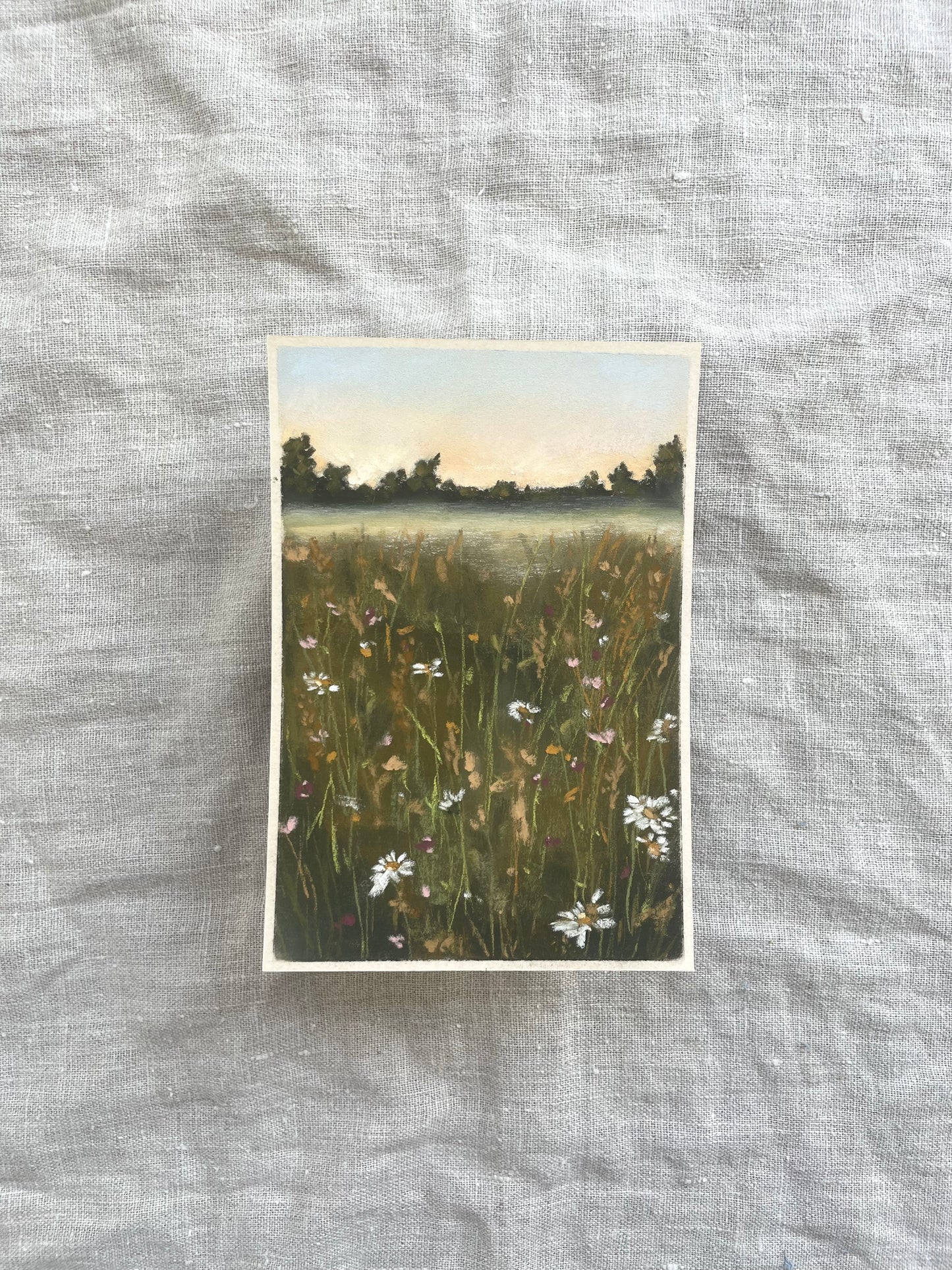 Beyond the Wild Flowers