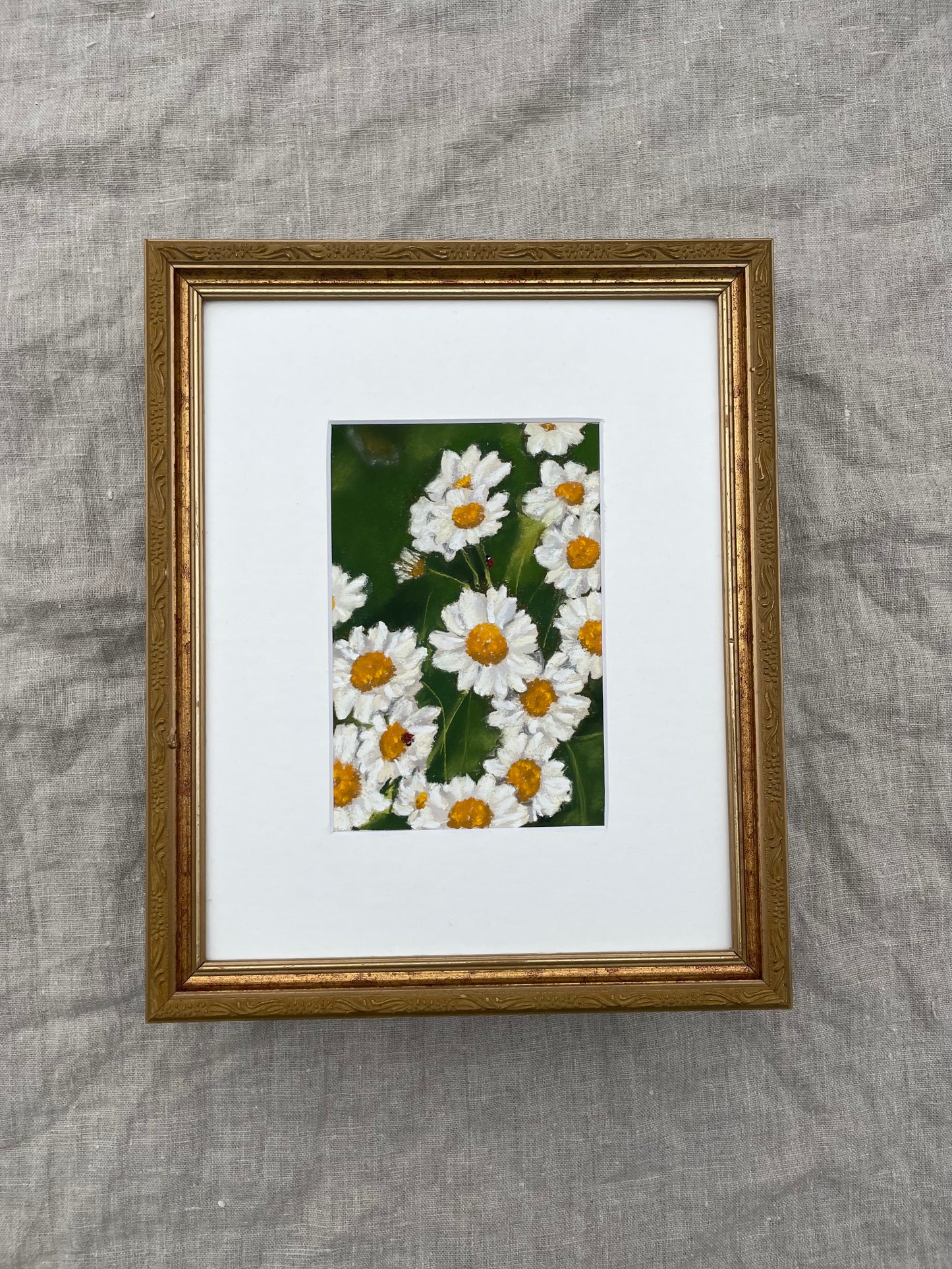 Feverfew Friends