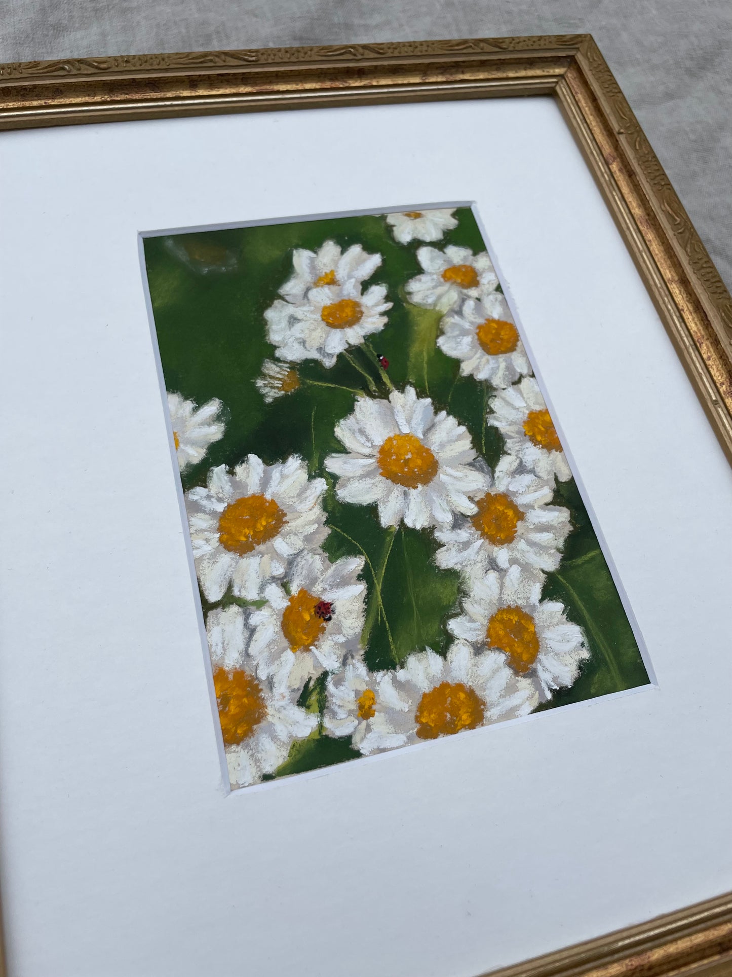 Feverfew Friends