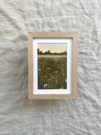 Beyond the Wild Flowers