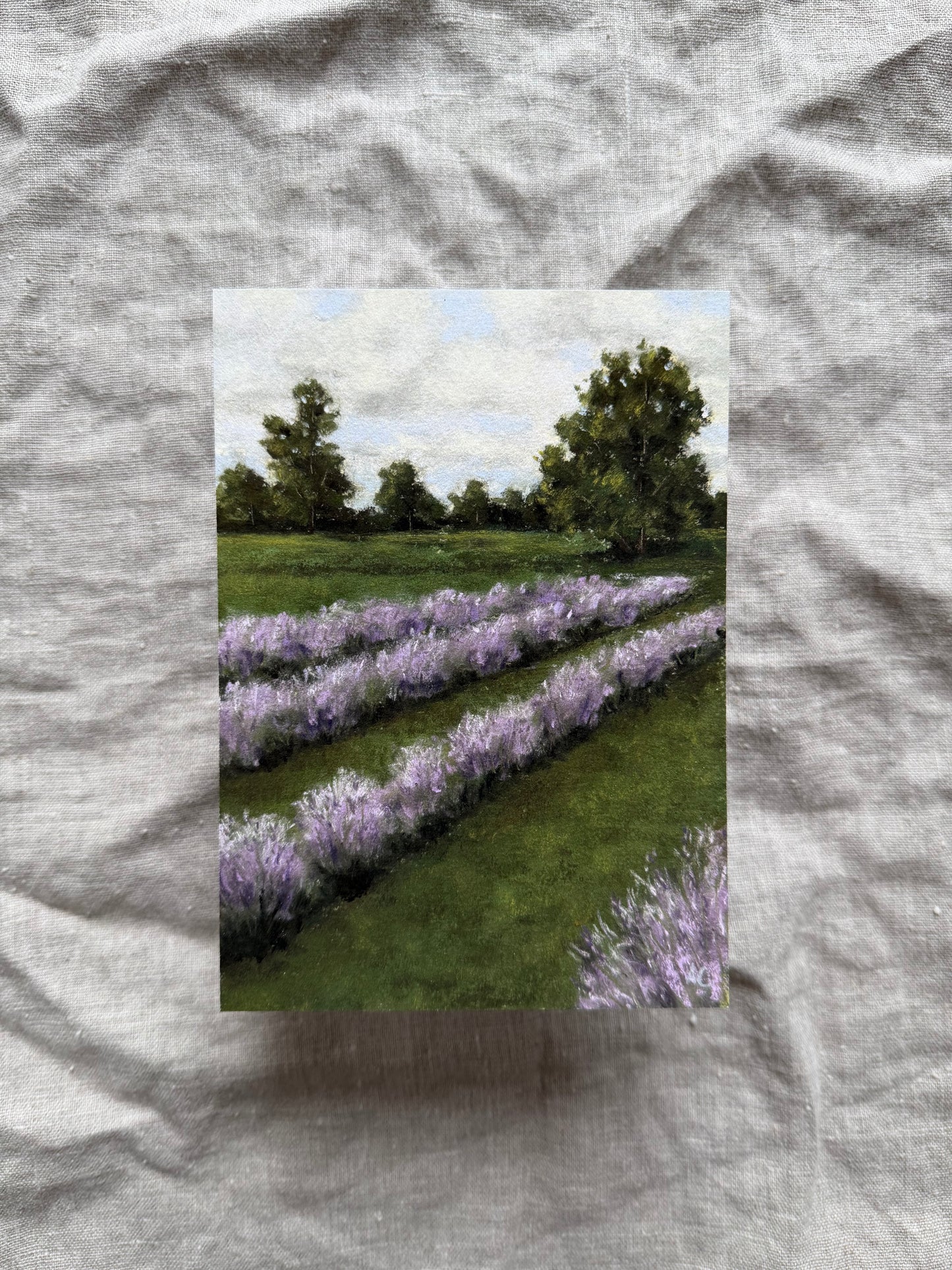 “Lavender Fields” Print