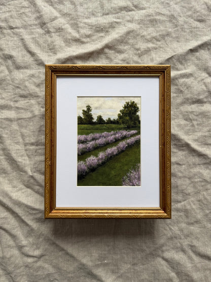 “Lavender Fields” Print