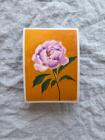 The Brightest Moment