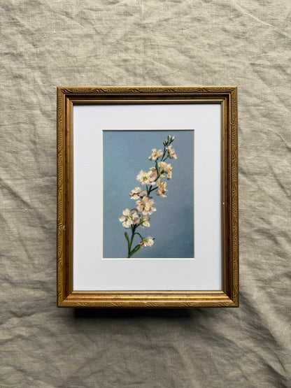 "What we keep" Print