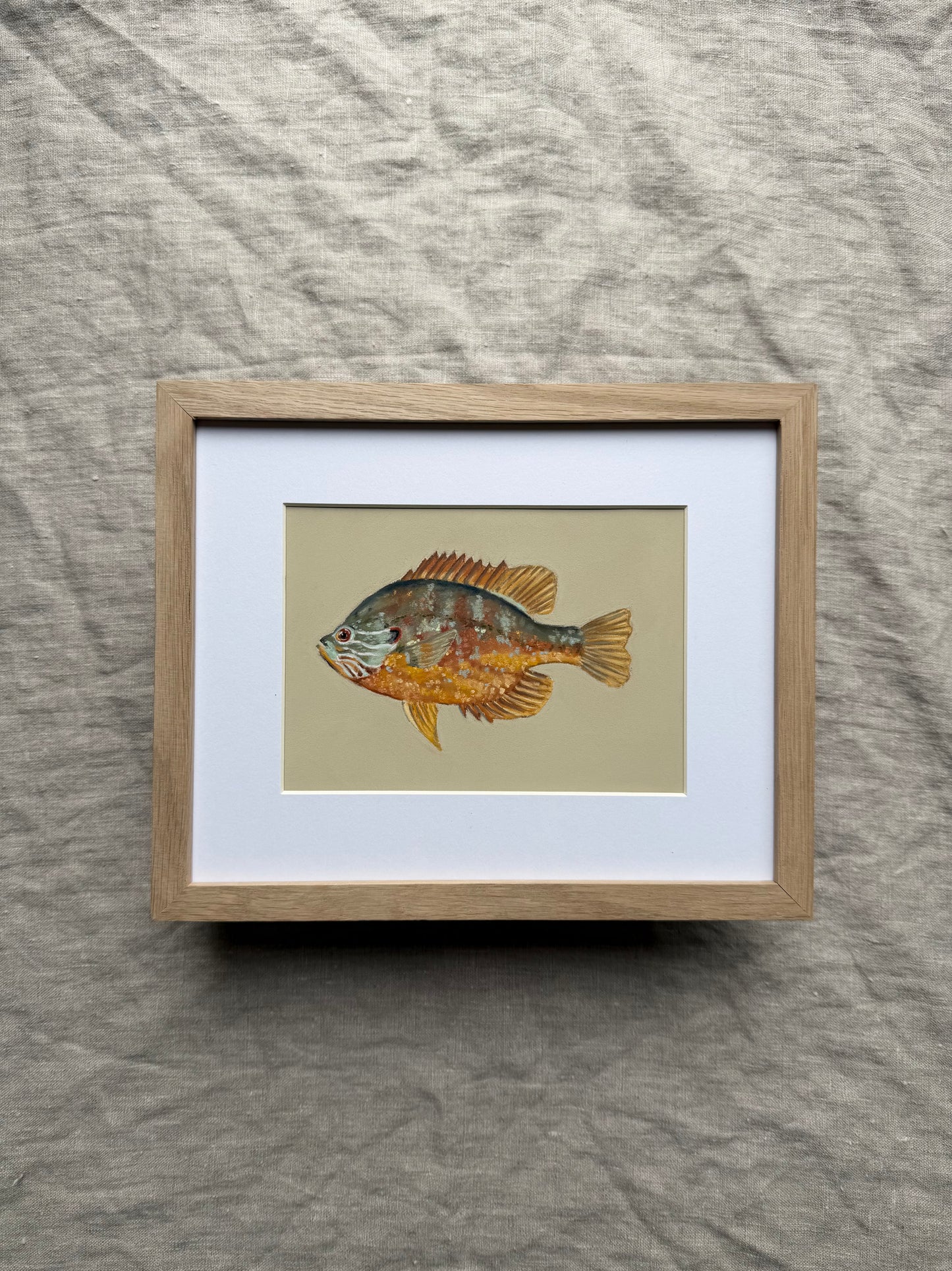 Pumpkinseed