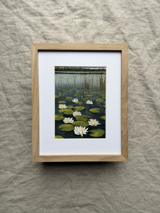Waterlilies