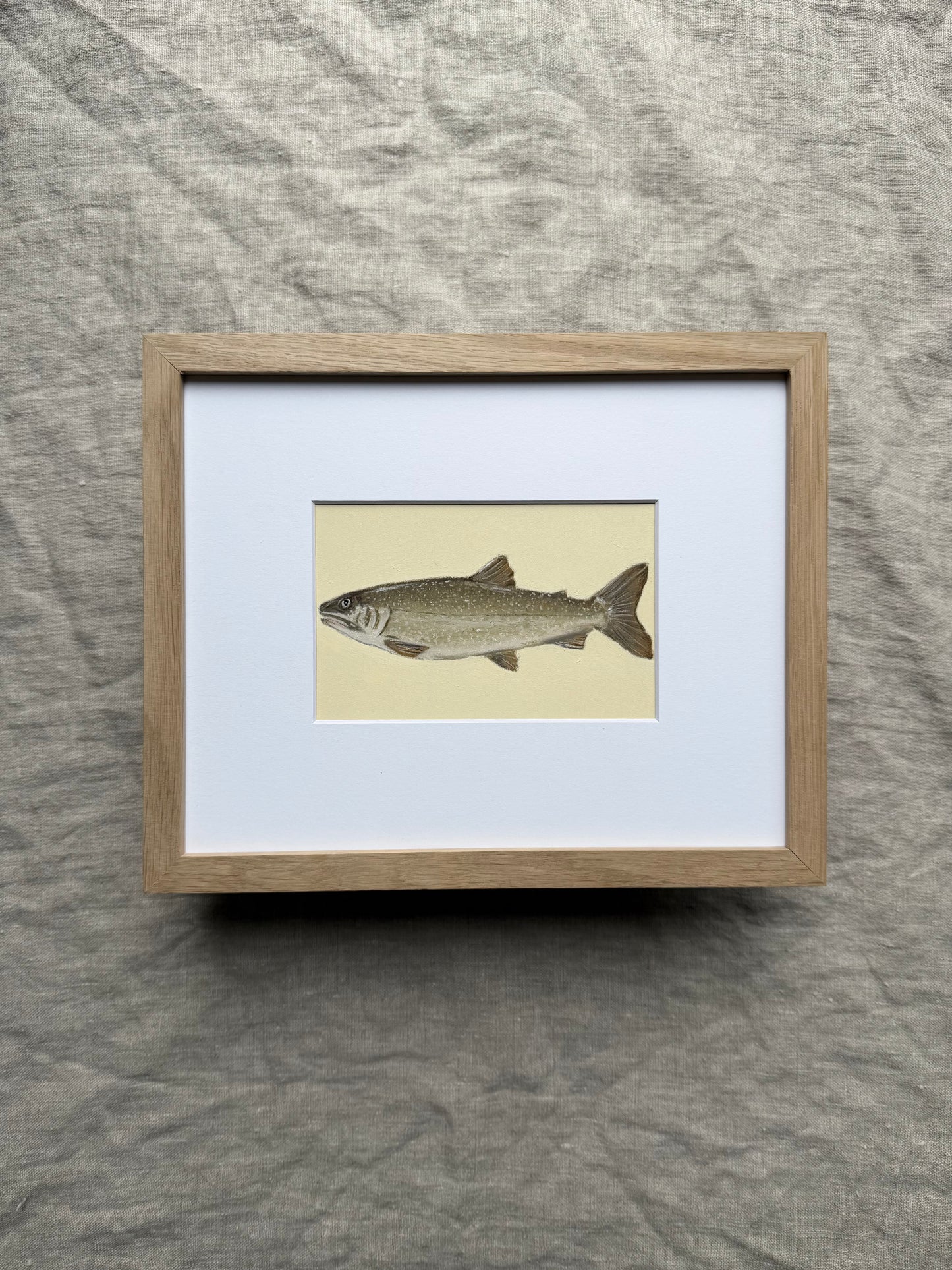 Lake Trout
