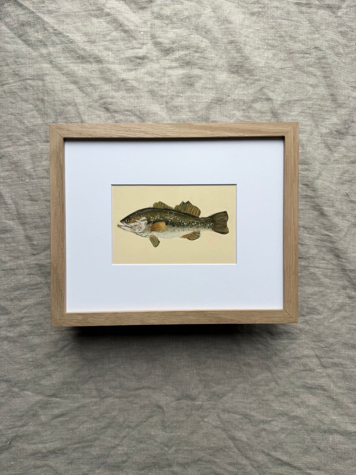 Bass