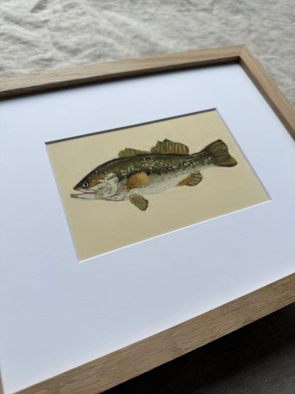 Bass
