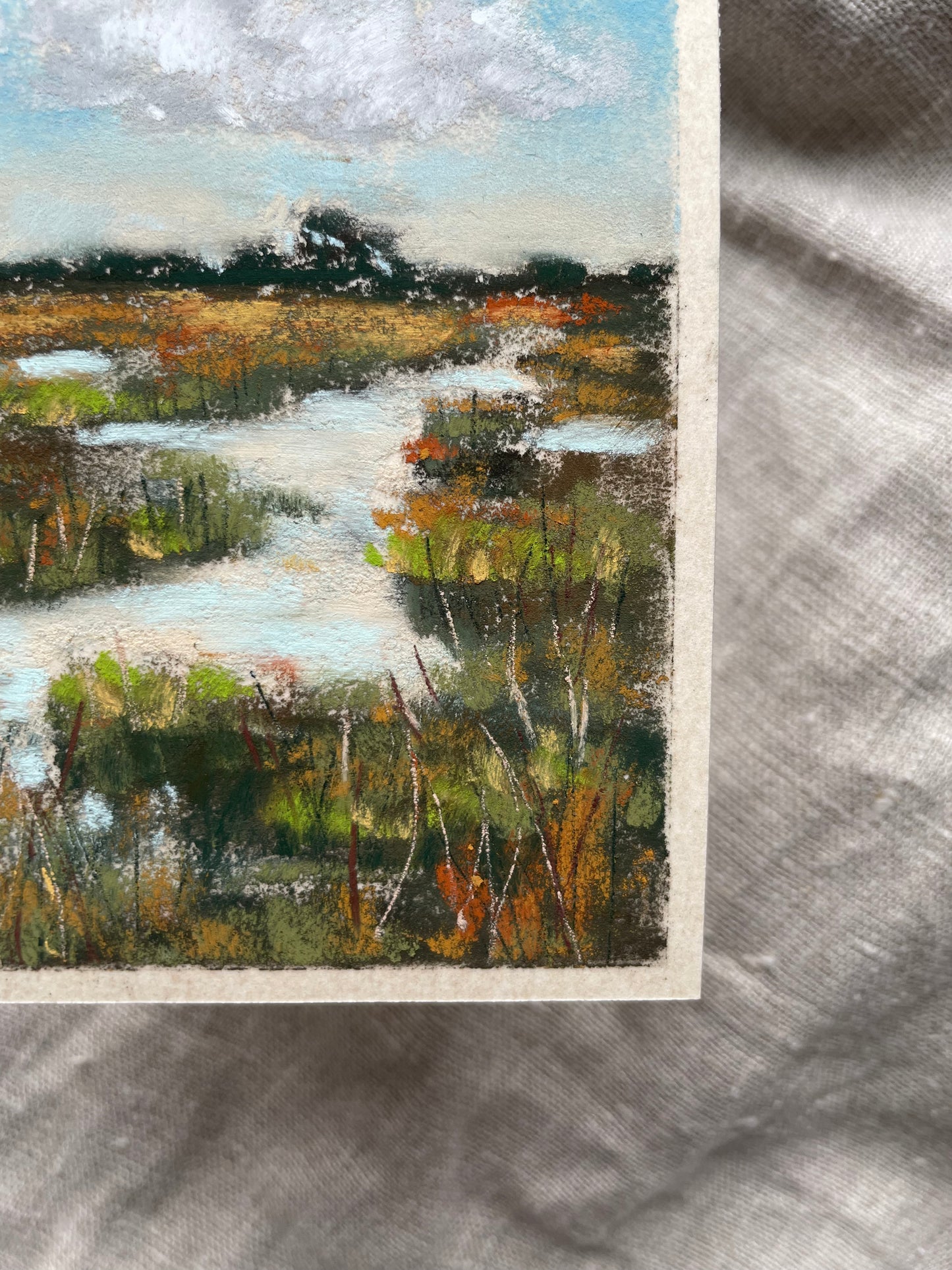 Marshlands