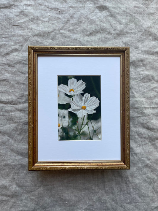 Among the Petals