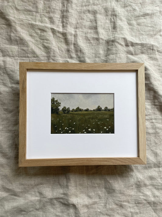 Field Notes